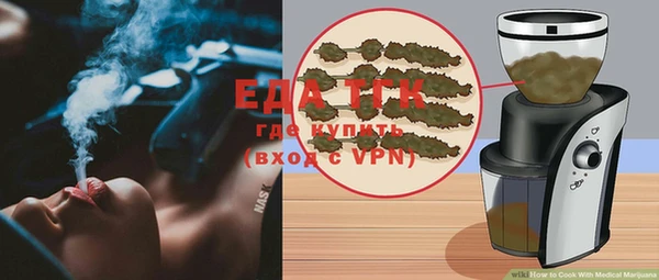 индика Костерёво