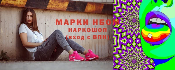 индика Костерёво