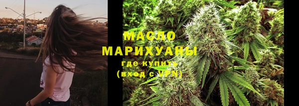 индика Костерёво